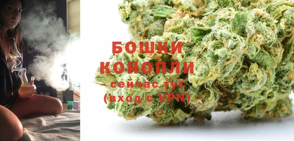 амф Сосновка