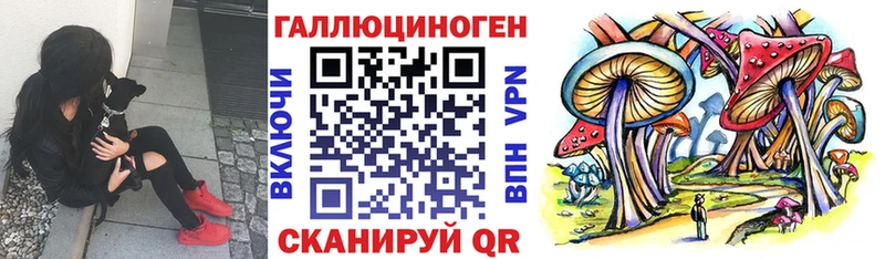Псилоцибиновые грибы ЛСД  Купить  Энем 